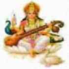 Saraswati Vidya Mandir College of Education, Mewat