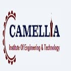 Camellia Institute of Engineering and Technology, Burdwan