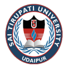 Sai Tirupati University, Udaipur