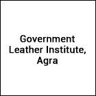 Government Leather Institute, Agra