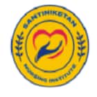Santiniketan Nursing Institute, Birbhum