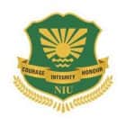 Noida International University, Greater Noida